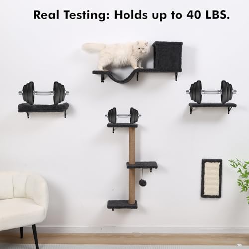 Gray Cat Wall Shelves H47780