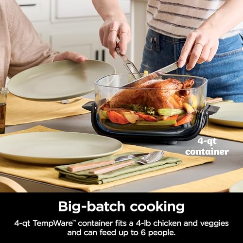 Green 4 QT & 6 Cup Glass Air Fryer L88802