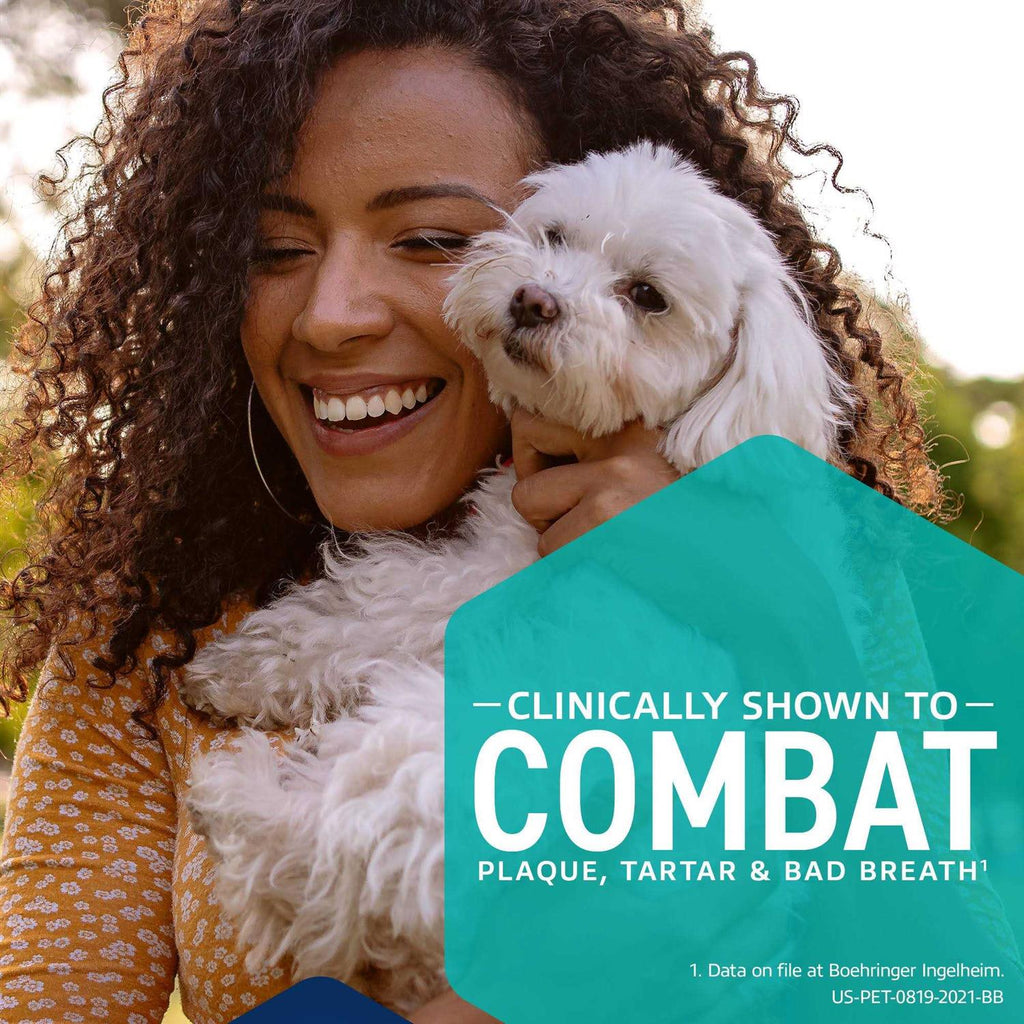 Dental Hygiene Chews Dogs W24393