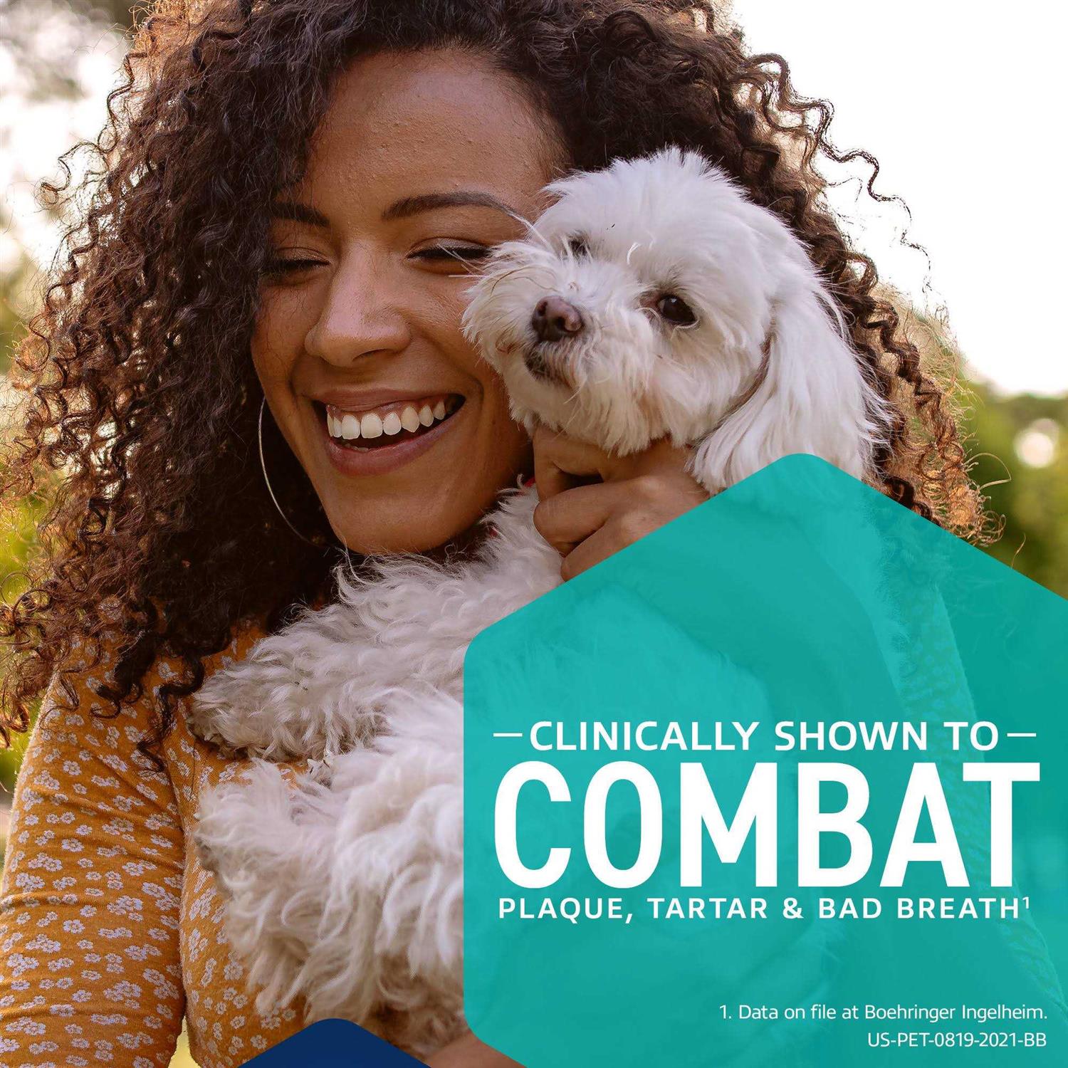 Dental Hygiene Chews Dogs W24393