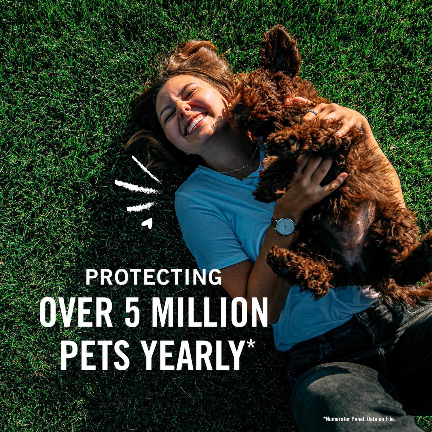 Flea Tick Treatment for Dogs R42440
