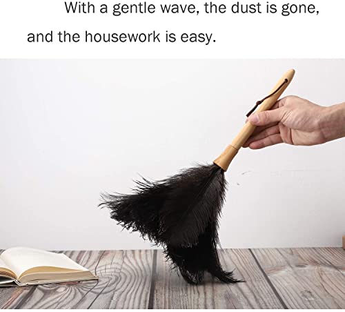 Black 16" 2Pieces Ostrich Feather Duster with Wooden Handle I622566