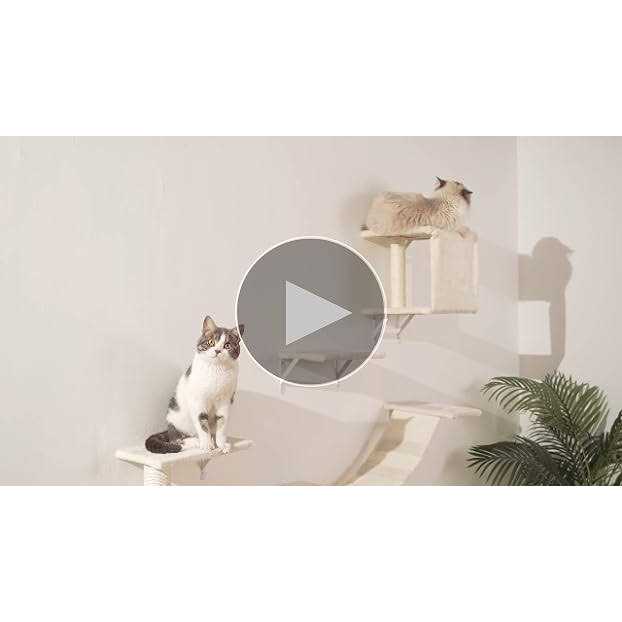 5pcs Wooden Cat Wall Shelves with Bridge, Steps, and Scratcher M342