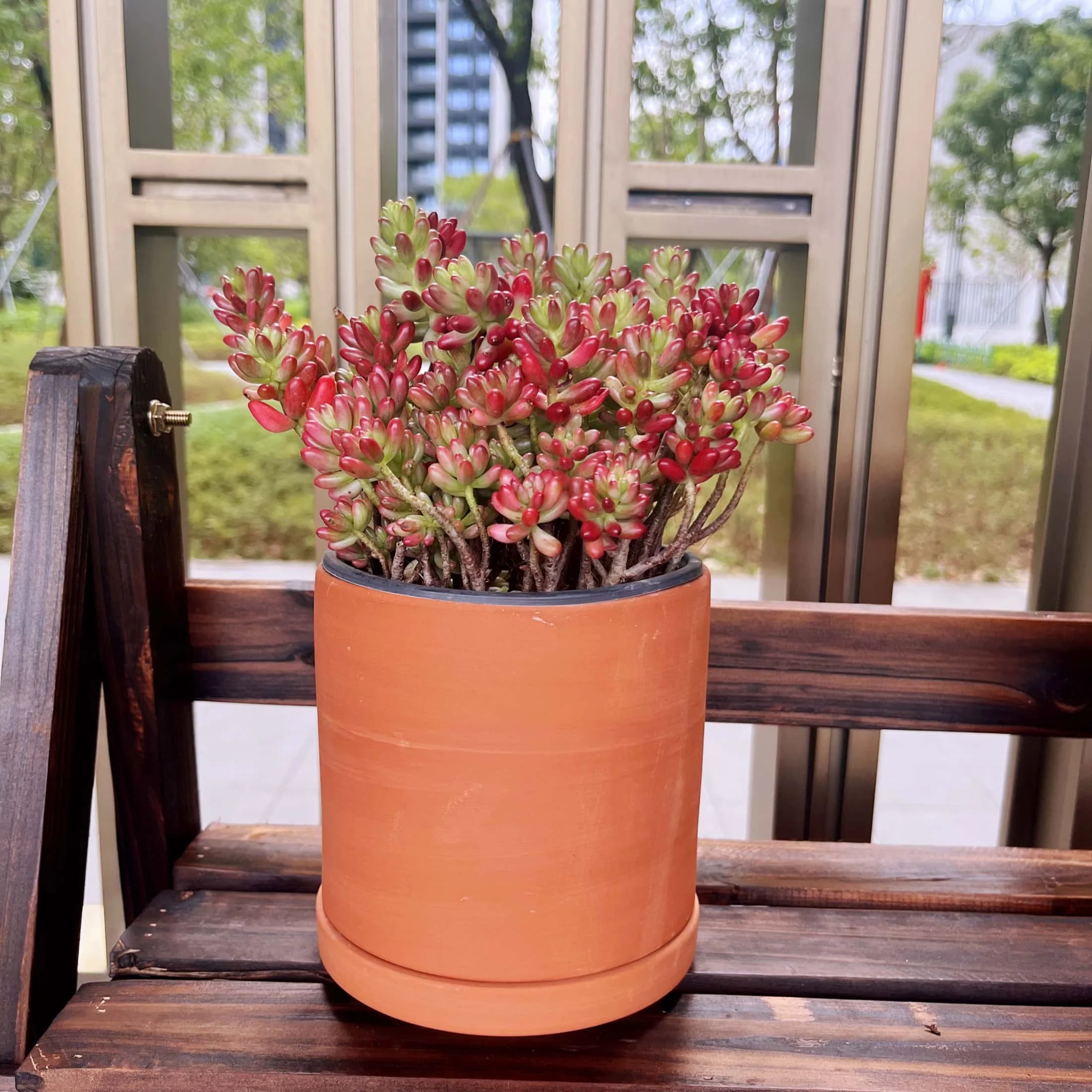 Terracotta Flower Pots, 3 Count with Drainage Holes E246