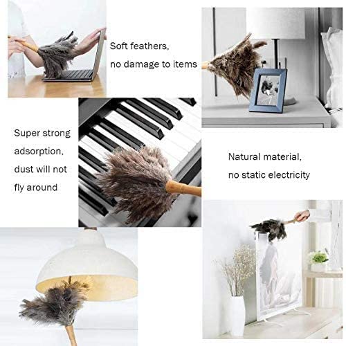 Black 16" 2Pieces Ostrich Feather Duster with Wooden Handle I622566