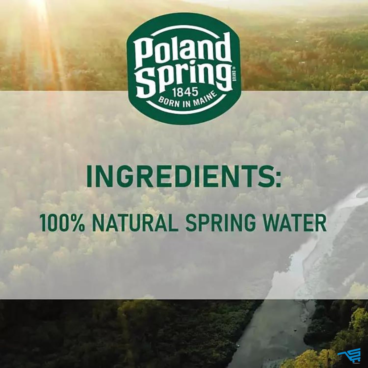 16.9 Fl Oz 40 Pack Spring Water T939895