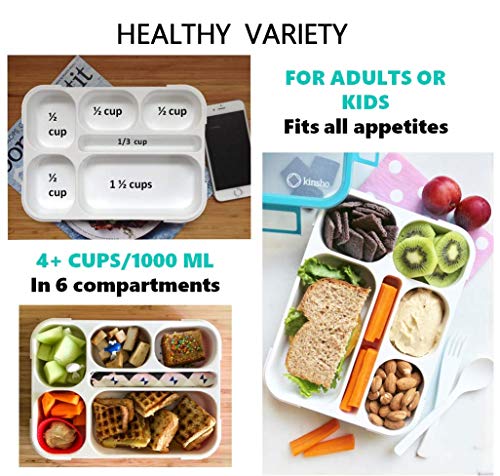 Blue & Pink Bento Lunch Boxes with Insulated Bag and Ice Pack Set of Two, 6 Compartments Leakproof BPA Free J813