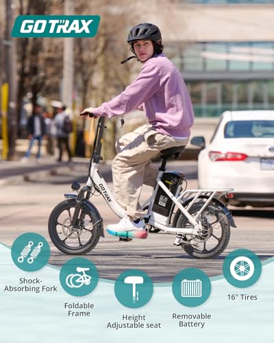 16" Folding Electric Bike with Removable Battery W6635