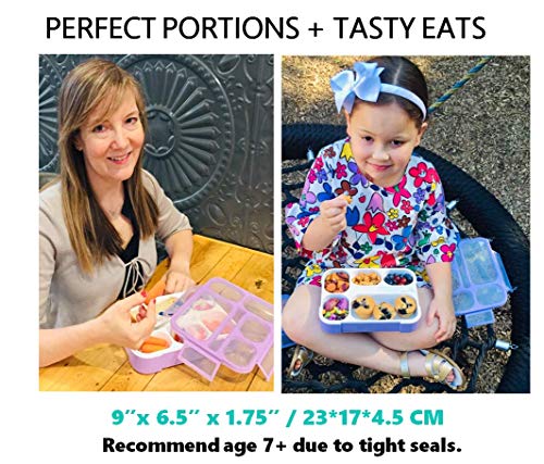 Blue & Pink Bento Lunch Boxes with Insulated Bag and Ice Pack Set of Two, 6 Compartments Leakproof BPA Free J813