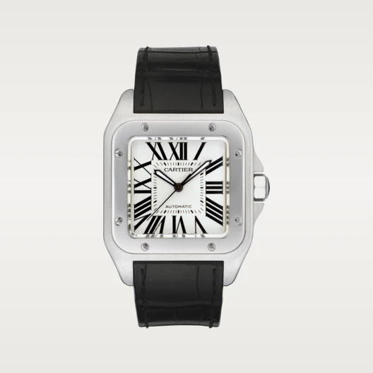 Silver Gray 38mm Watch Y390271