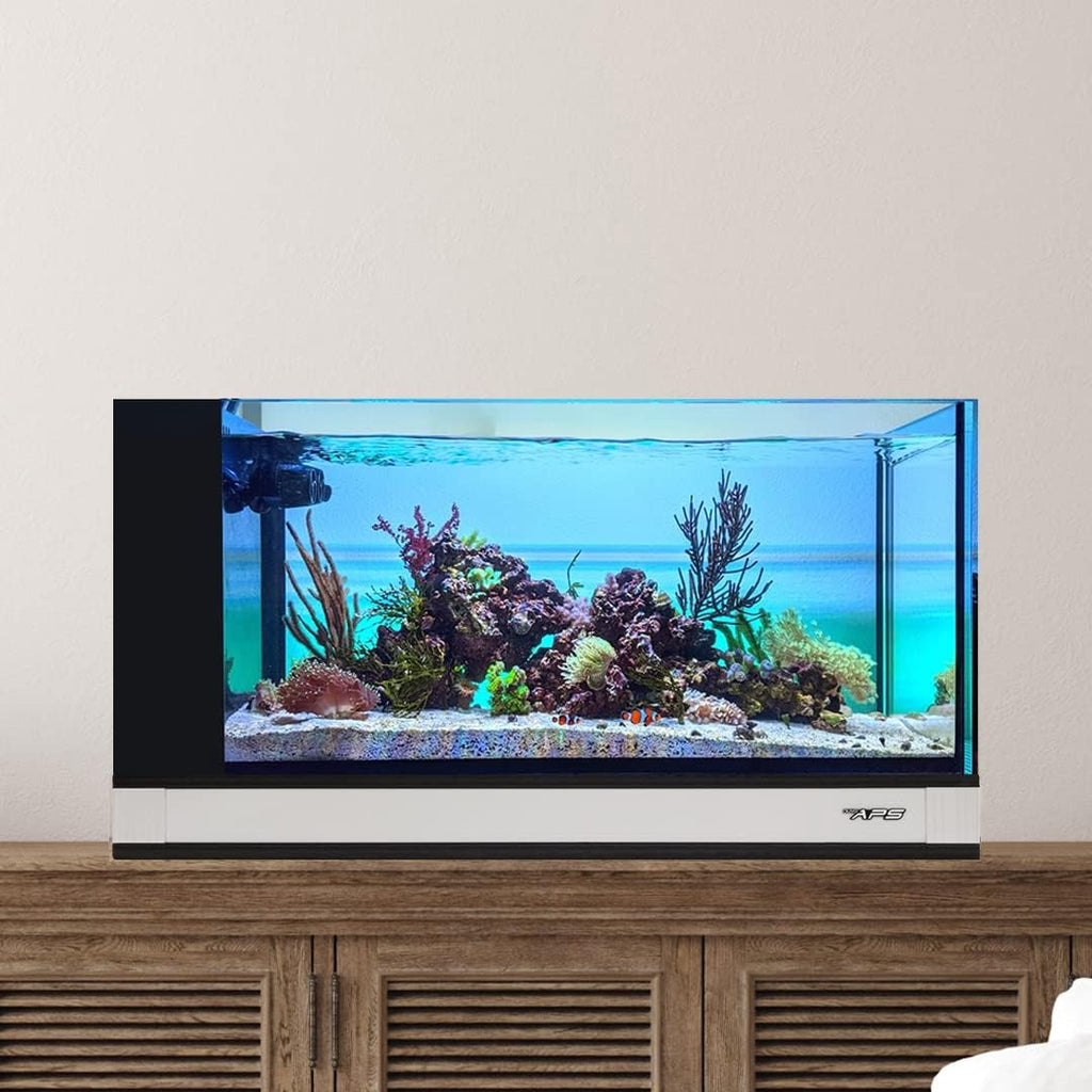 White 20 Gallon All in One Aquarium B216