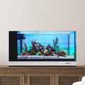 White 20 Gallon All in One Aquarium B216