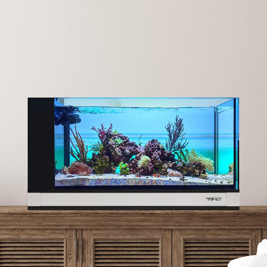 White 20 Gallon All in One Aquarium B216