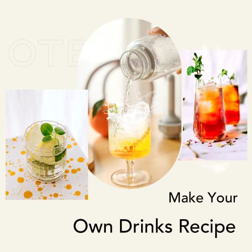 Red Portable Sparkling Water Maker with 20PCS Cylinders 450ml PET Bottle Y2973