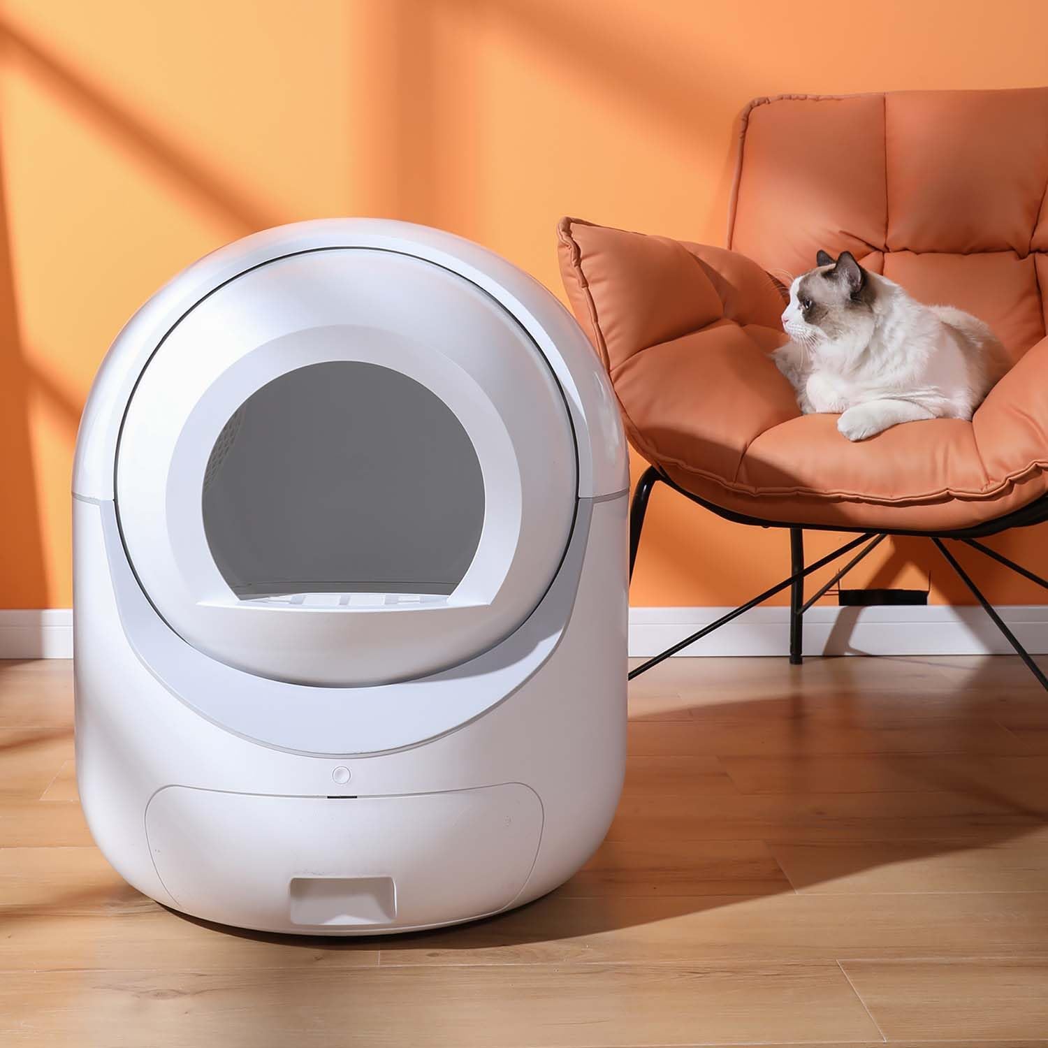 Automatic Self Cleaning Litter Box with Odor Removal and APP Control X806839