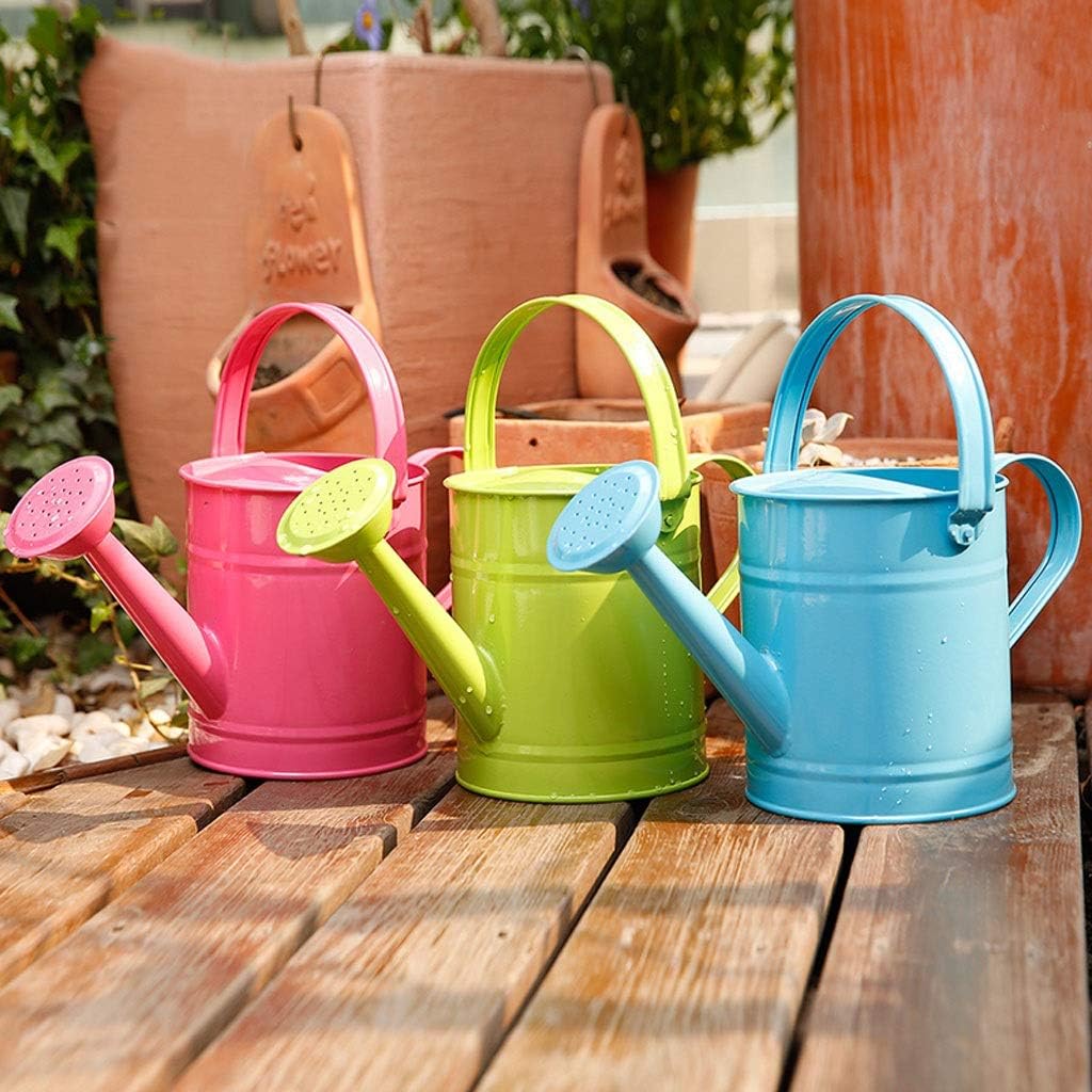 1.5L Iron Watering Can B71748
