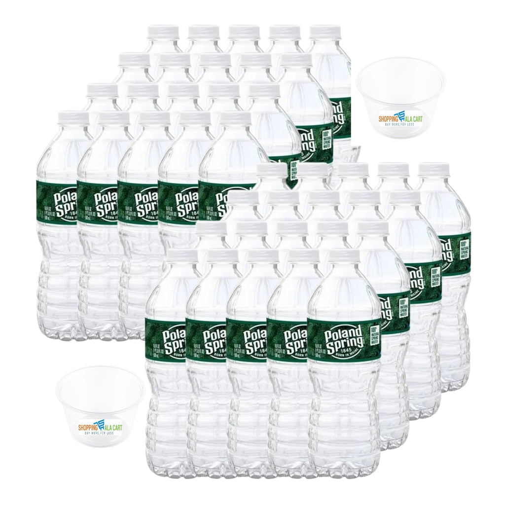 16.9 Fl Oz 40 Pack Spring Water T939895
