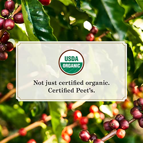 Dark Roast Organic K-Cup Pods 60 Count Y377