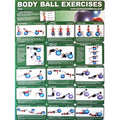 Core Body Ball Exercise Chart C108352