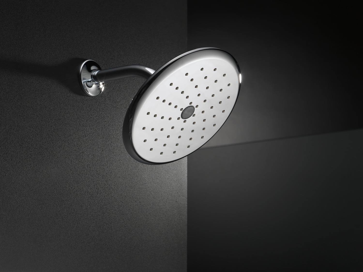 Polished Brass Single-Setting Shower Head I74437