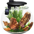 14 Gallon Polycarbonate Bowl-Shaped Aquarium V933