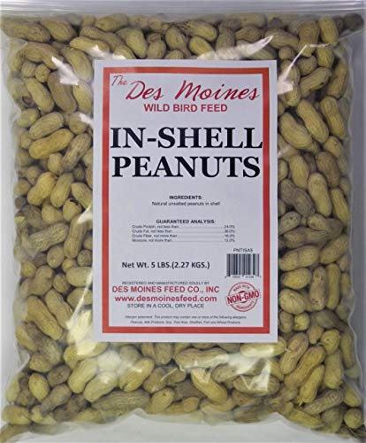 5 lbs in-Shell Peanuts Wild Bird Food J9906