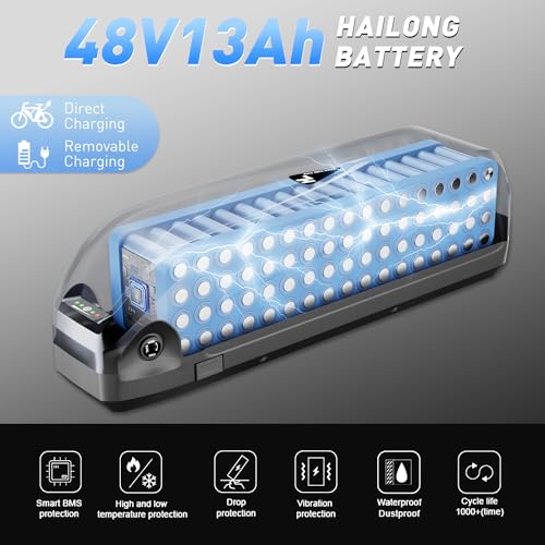13Ah Electric Bike Battery with Base and Charger O194522