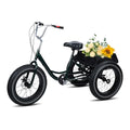 Black 20 inch 3 Wheel Fat Tire Tricycle J31112