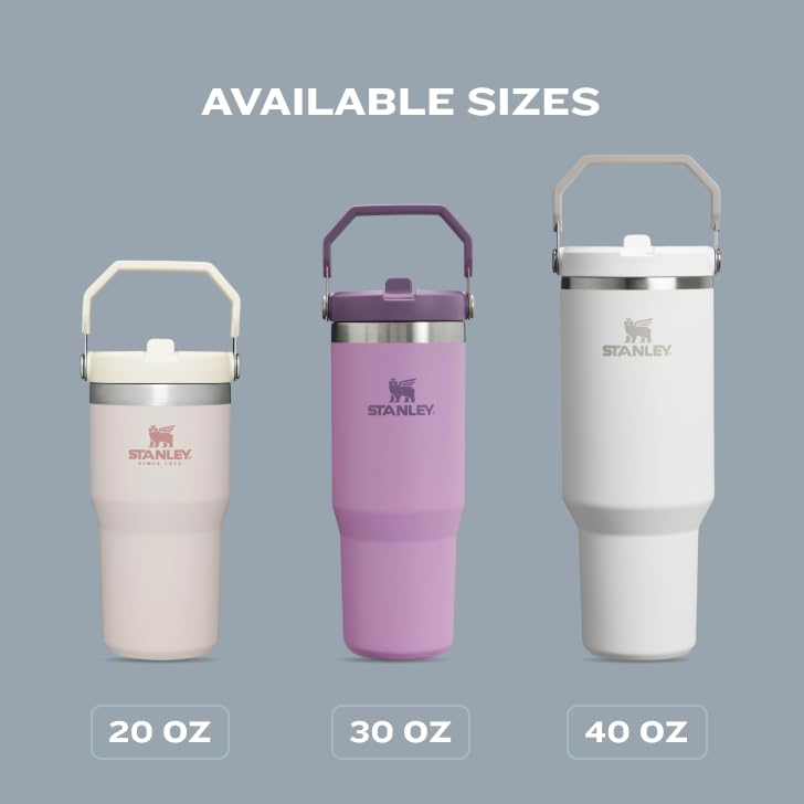 30 oz Insulated Stainless Steel Tumbler with Handle T464