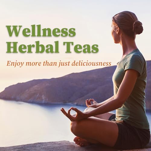 40 Teabags Unsmoked Yerba Mate Tea T10194