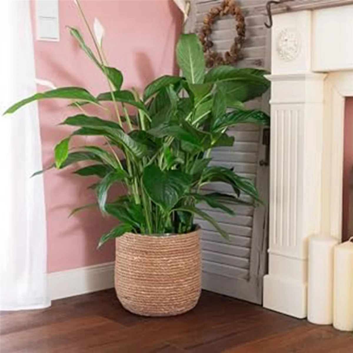 Seagrass Flower Pot - Woven Decorative Basket with Film Insert L355
