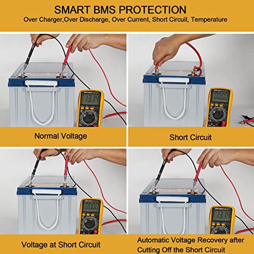 12V 100Ah LiFePO4 Lithium Battery with Smart BMS Q647