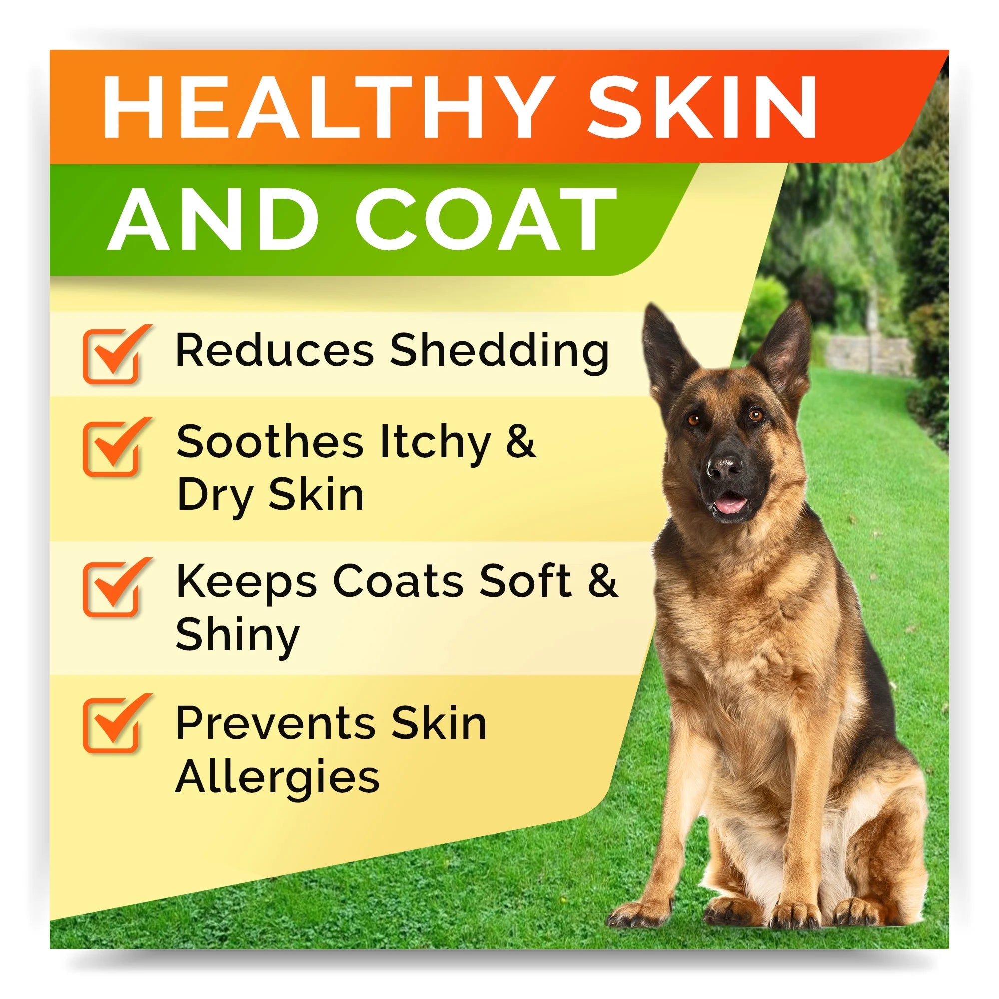 180 Chews Fish Oil Omega 3 Dog Treats F658919