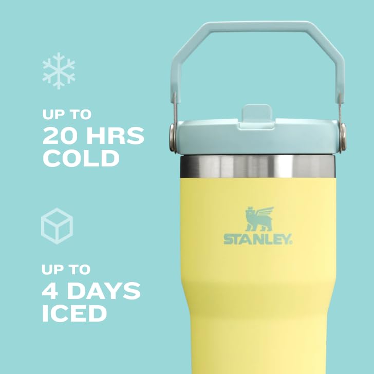 30 oz Insulated Stainless Steel Tumbler with Handle T464