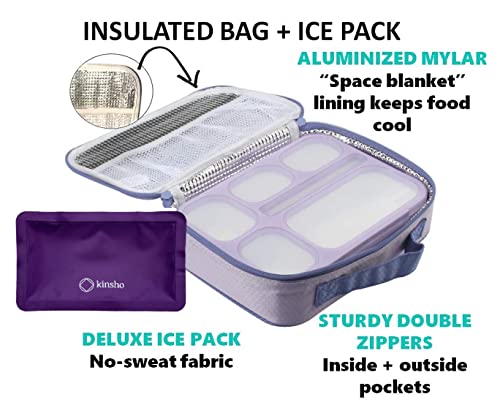 Blue & Pink Bento Lunch Boxes with Insulated Bag and Ice Pack Set of Two, 6 Compartments Leakproof BPA Free J813