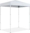 6'x4' White Outdoor Pop up Canopy Tent with Carry Bag J110