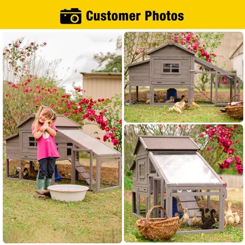 Large Mobile Chicken Coop with Wheels M50400