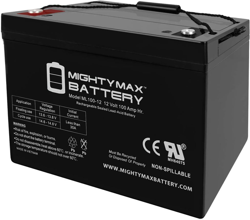 12V 100Ah SLA AGM Battery Y474090