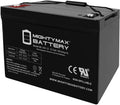 12V 100Ah SLA AGM Battery Y474090