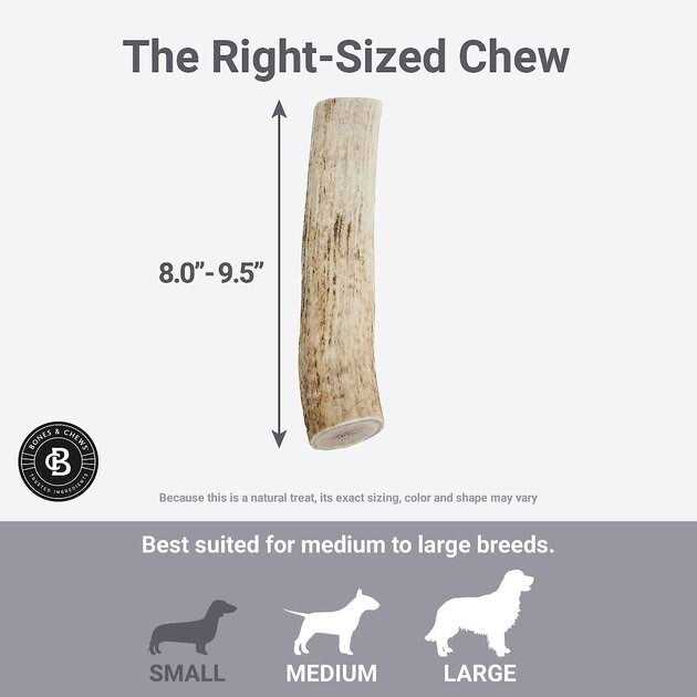 Elk Antler Dog Chew P769028