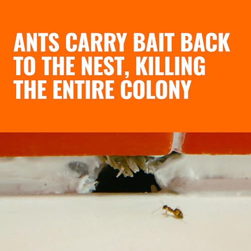 12 Count Liquid Ant Bait Stations U4291