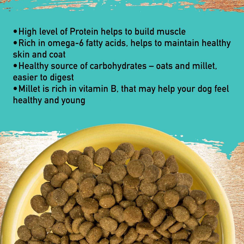 Dog Food C496569