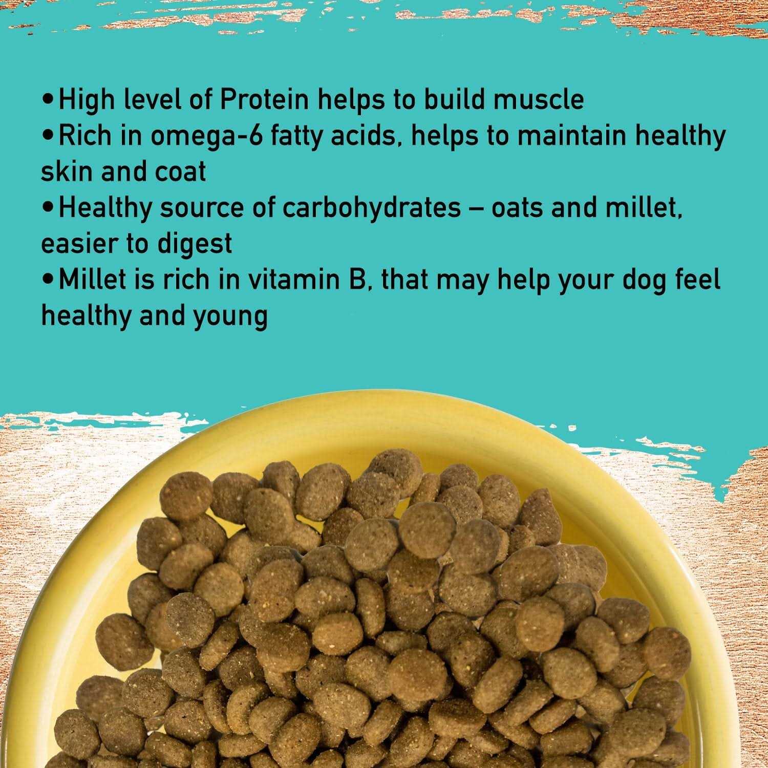 Dog Food C496569