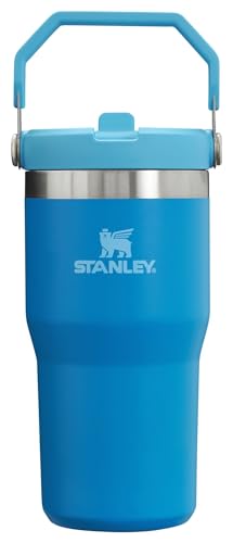30 oz Insulated Stainless Steel Tumbler with Handle T464