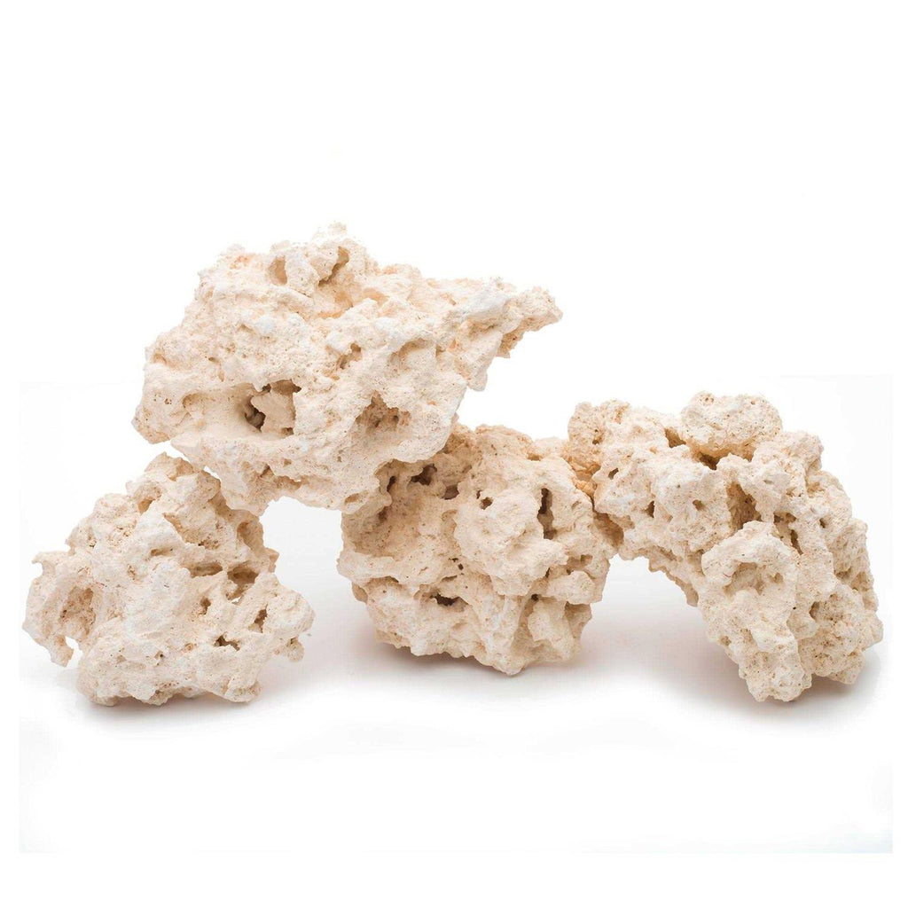 South Sea Base Rock V8882