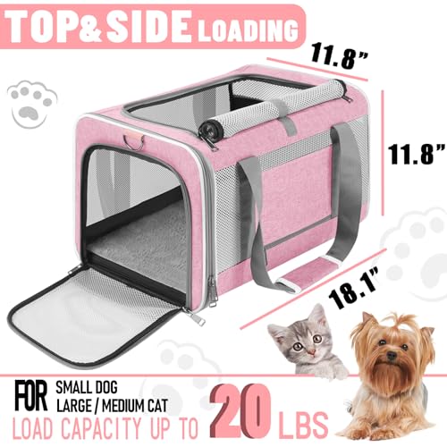 Soft Sided Top Load Collapsible Pet Carrier Bag for Large Cats 20 lbs+ G83493