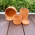 Terracotta Flower Pots, 3 Count with Drainage Holes E246