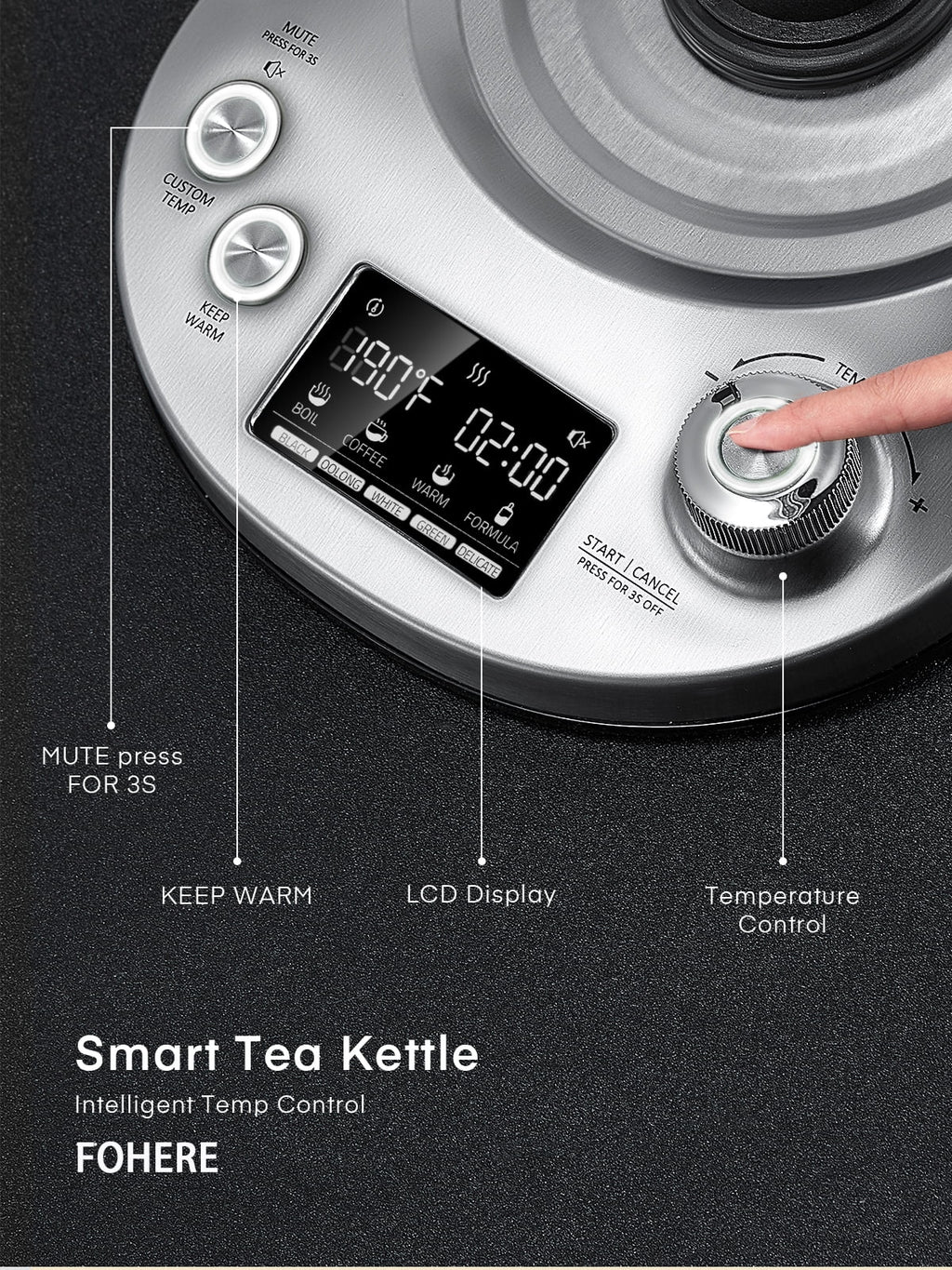 Silver Stainless Steel Glass Electric Kettle with Temperature Control, 1.7L G31752