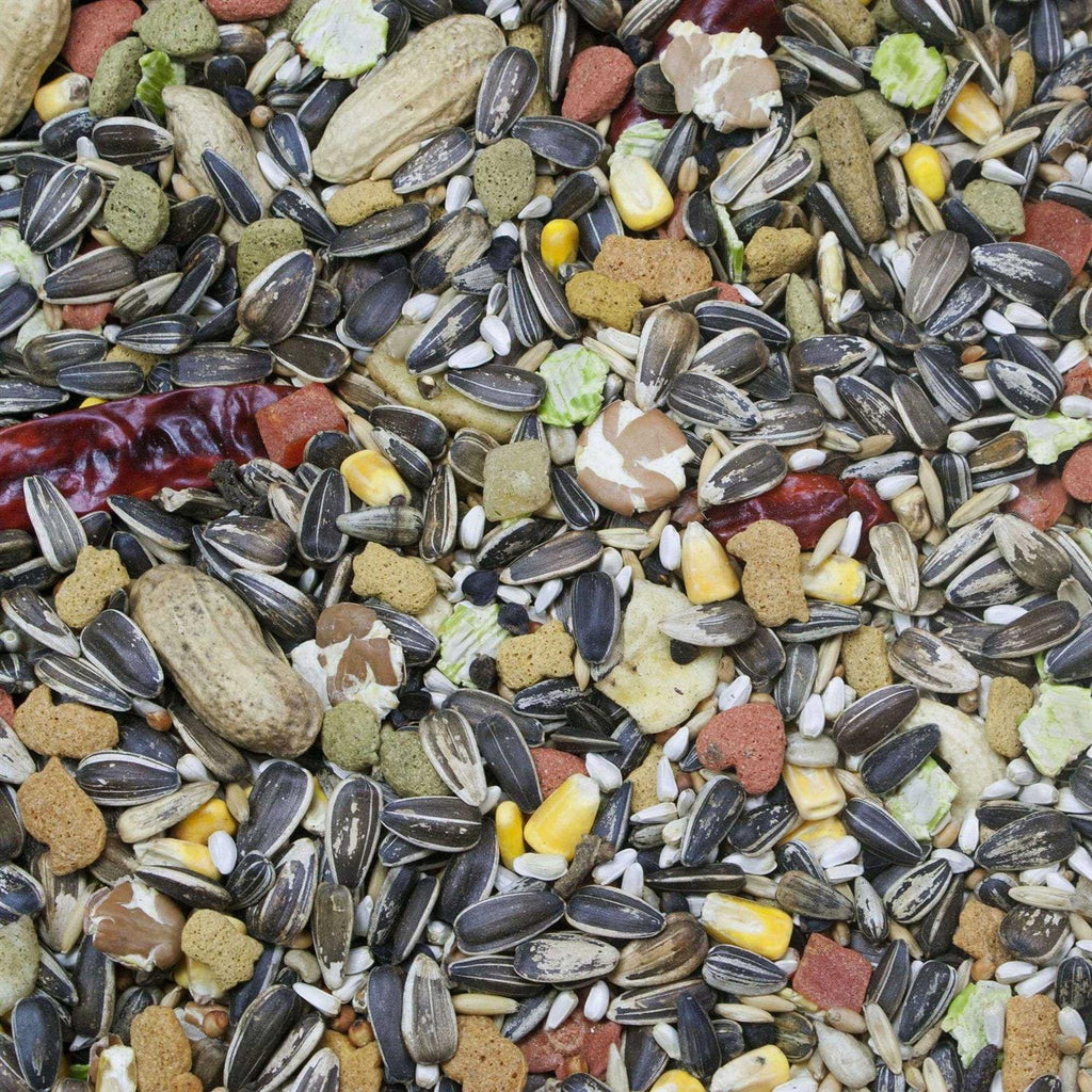 Parrot Food N474690