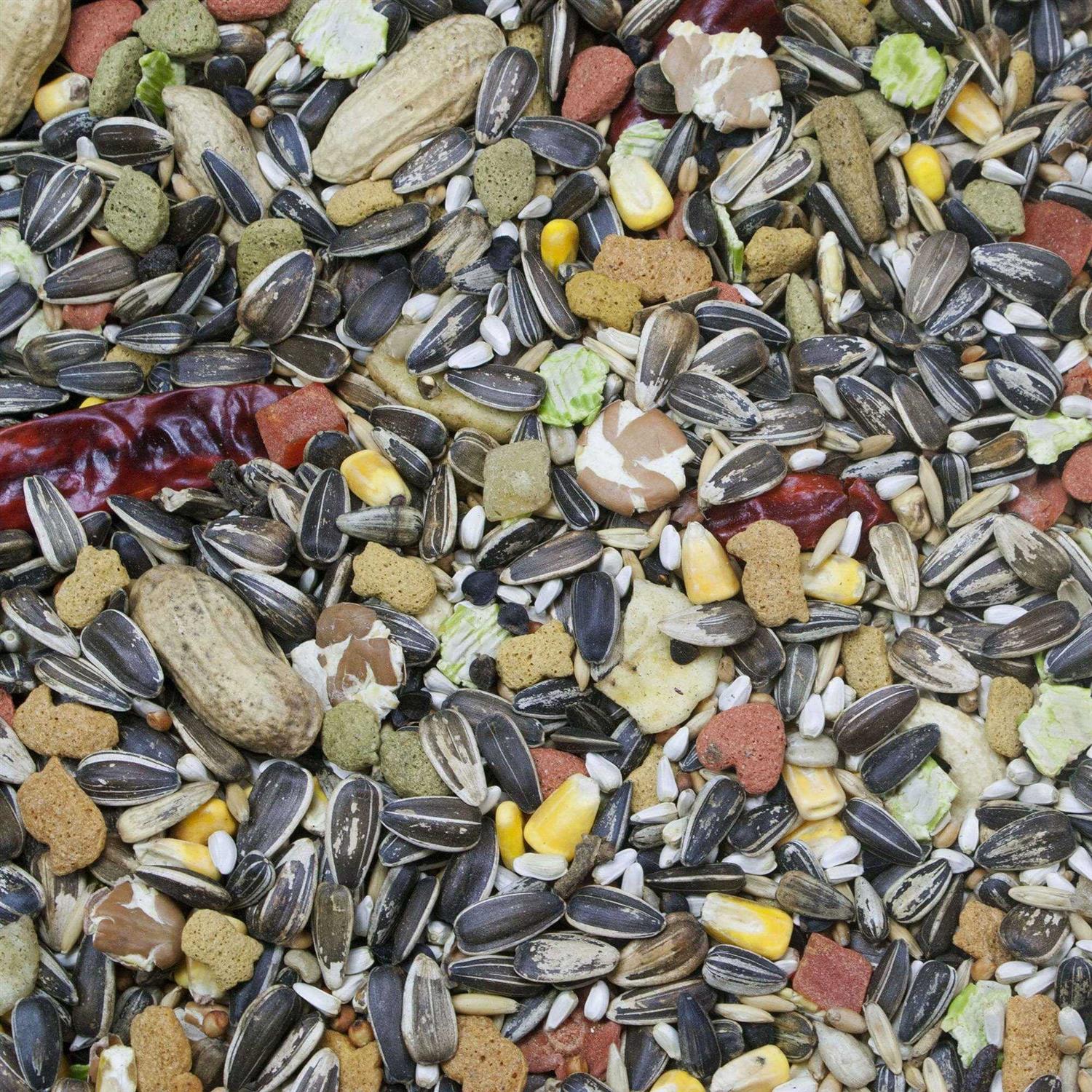 Parrot Food N474690